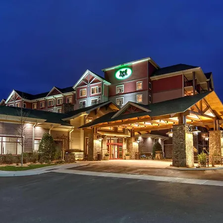 Black Fox Lodge Pigeon Forge, Tapestry Collection By Hilton